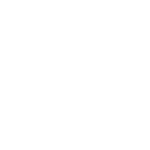 Canal Vie - White logo