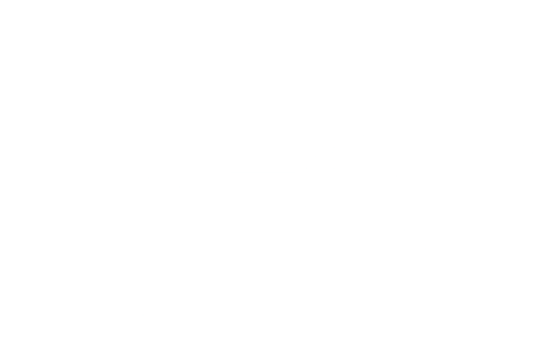 The Bear logo - white
