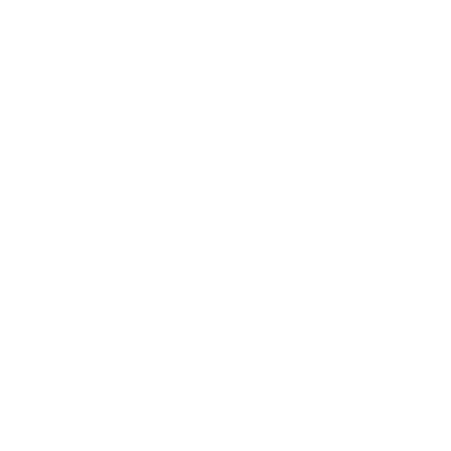 NEWSTALK 1290 - White logo