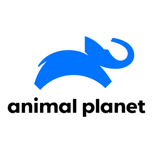 Animal Planet - Color logo