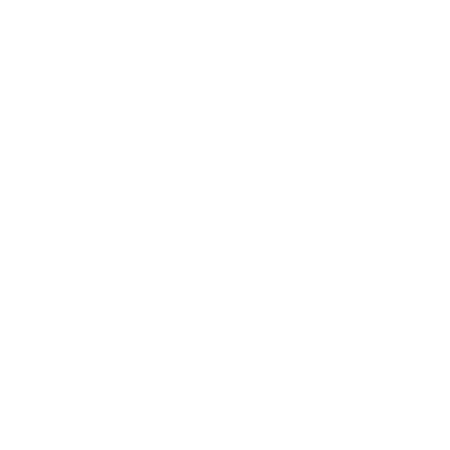 Canal D