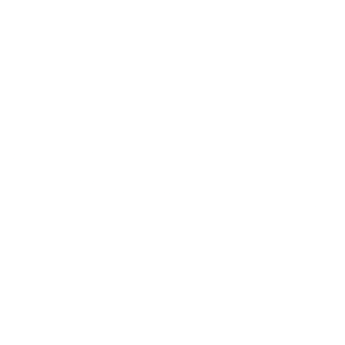 Discovery logo - white