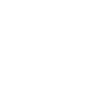 Investigation