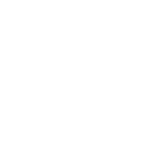 RDS logo - white
