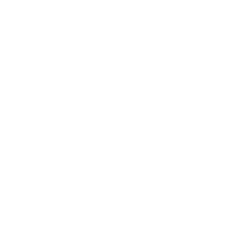 CTV News - White logo