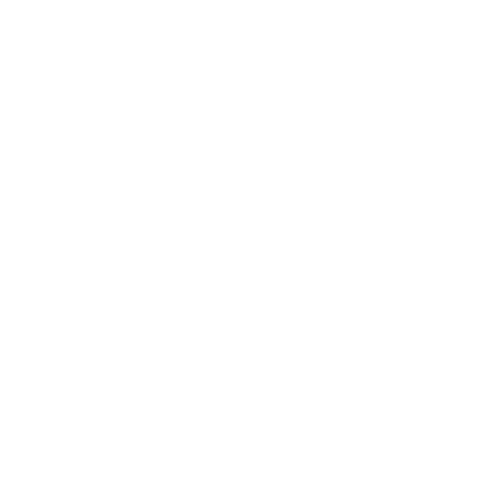 TSN - White logo