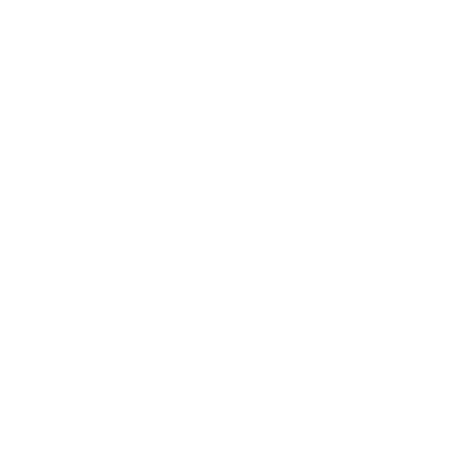 Z logo - white