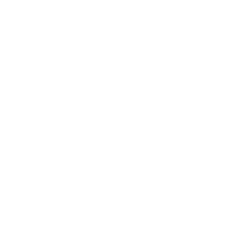 RDS2 - White logo
