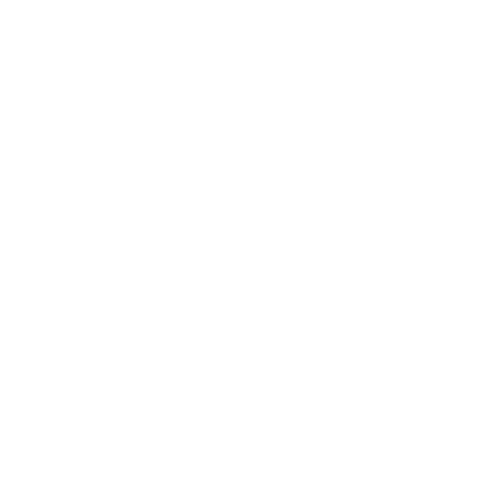 RDS INFO - White logo