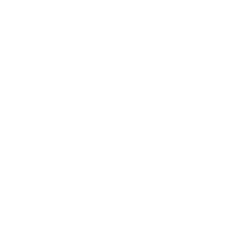 RDS INFO - White logo