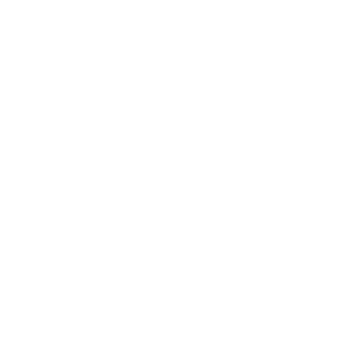 TSN logo - white