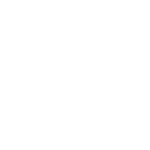 CTV - White logo