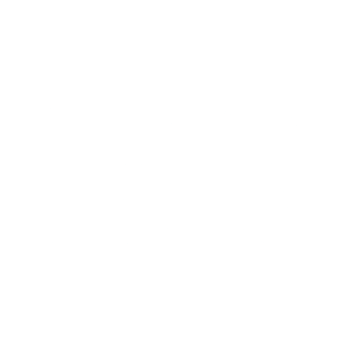 NEWSTALK 1010 - White logo