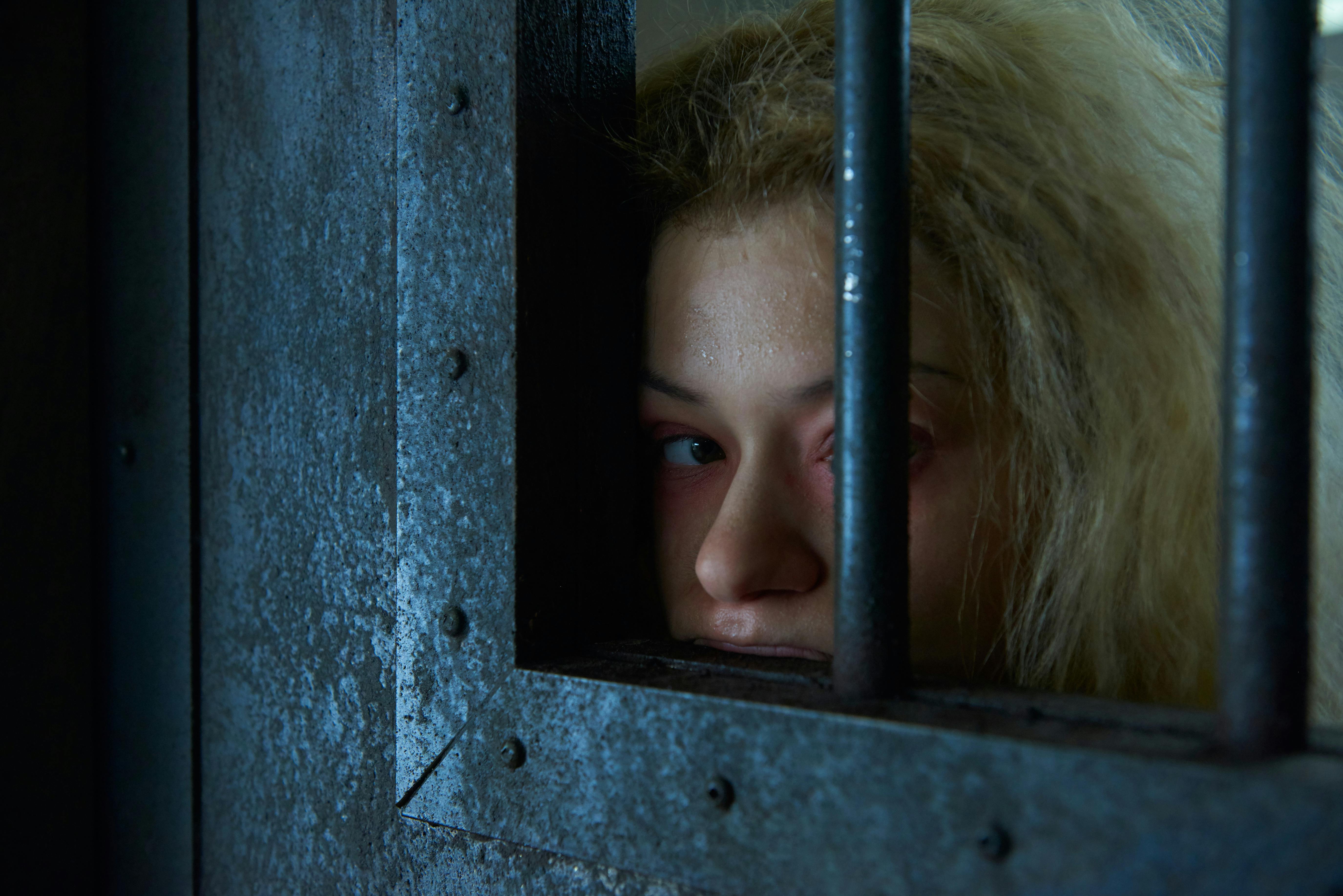 Image for the ORPHAN BLACK Season 3 Premiere Becomes Most-Watched Episode Ever with Nearly 700,000 Viewers press release