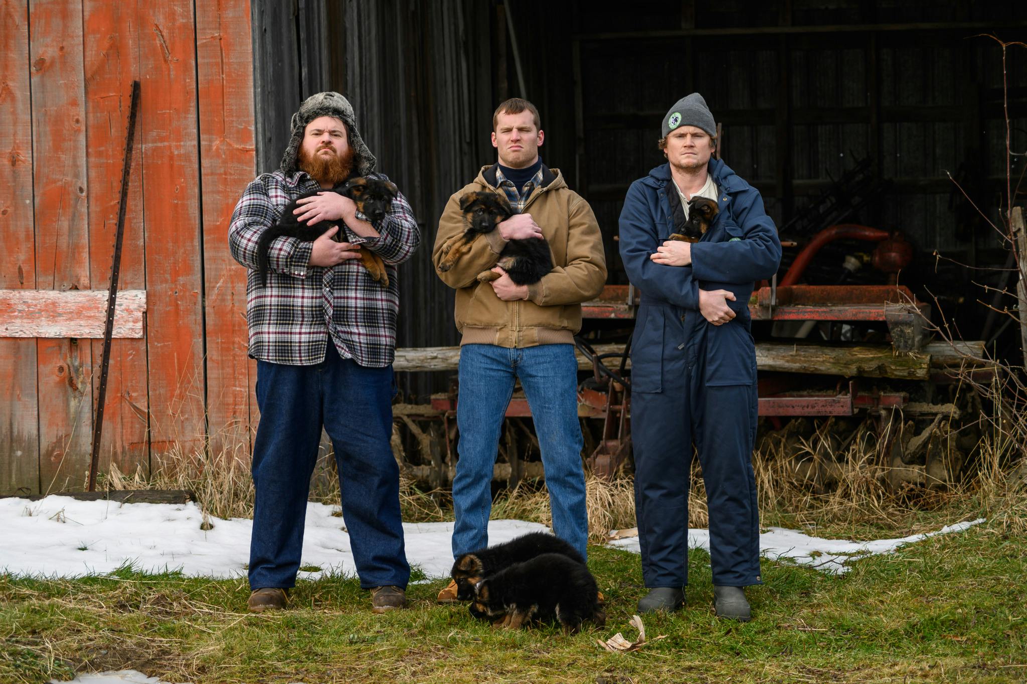Image for the PUPPERS GOLDEN LAGER PRESENTS LETTERKENNY LIVE! press release