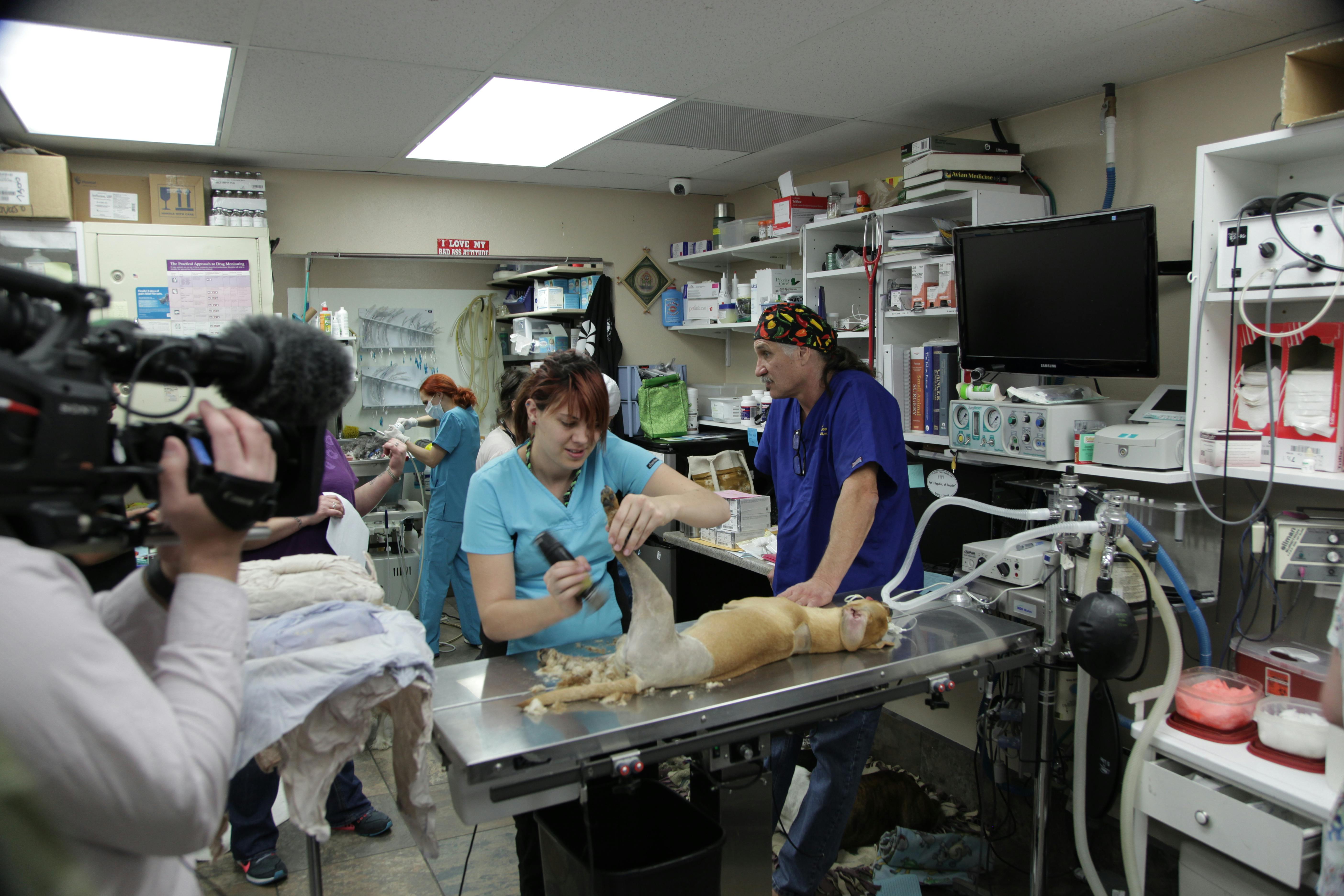 Dr. Jeff Rocky Mountain Vet Animal The Lede