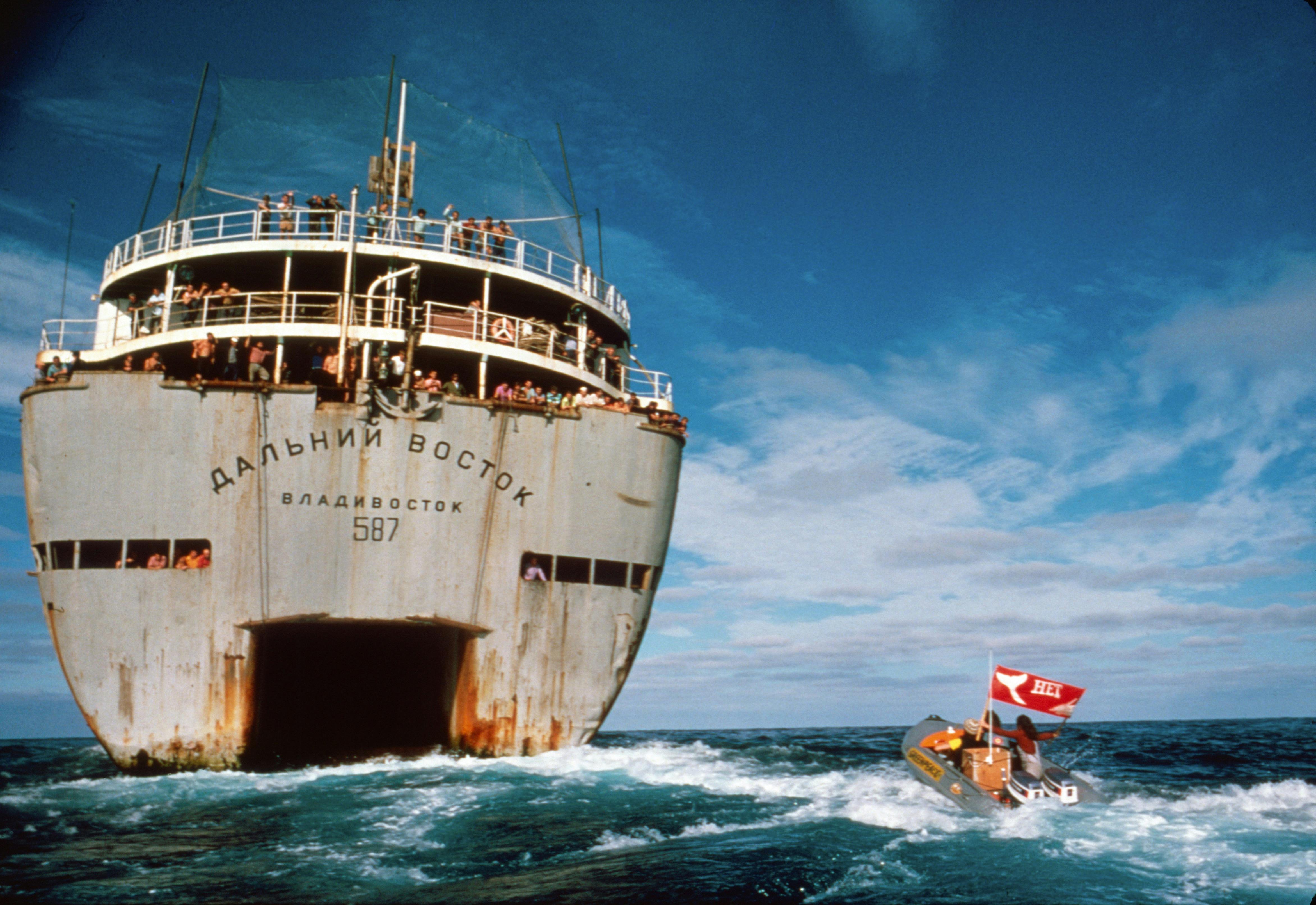 Image for the Award-Winning Documentary Feature HOW TO CHANGE THE WORLD Begins Streaming Today press release