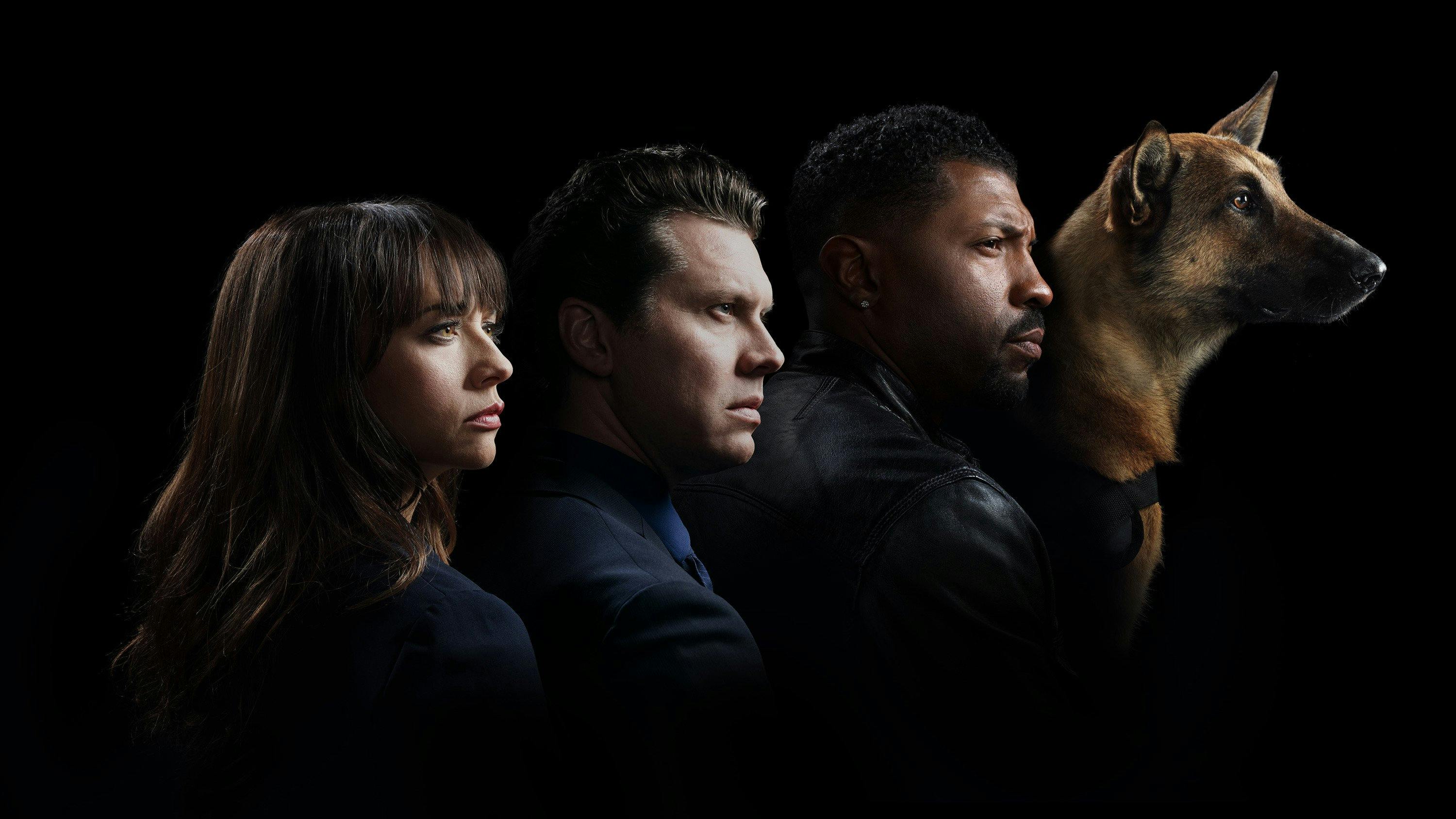 Image for the The Comedy Network Locks Down the Canadian Exclusive Premiere of ANGIE TRIBECA, March 1 press release