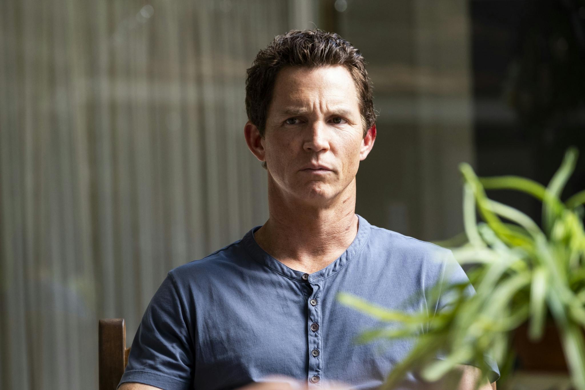 Animal Kingdom CTV Drama Channel The Lede