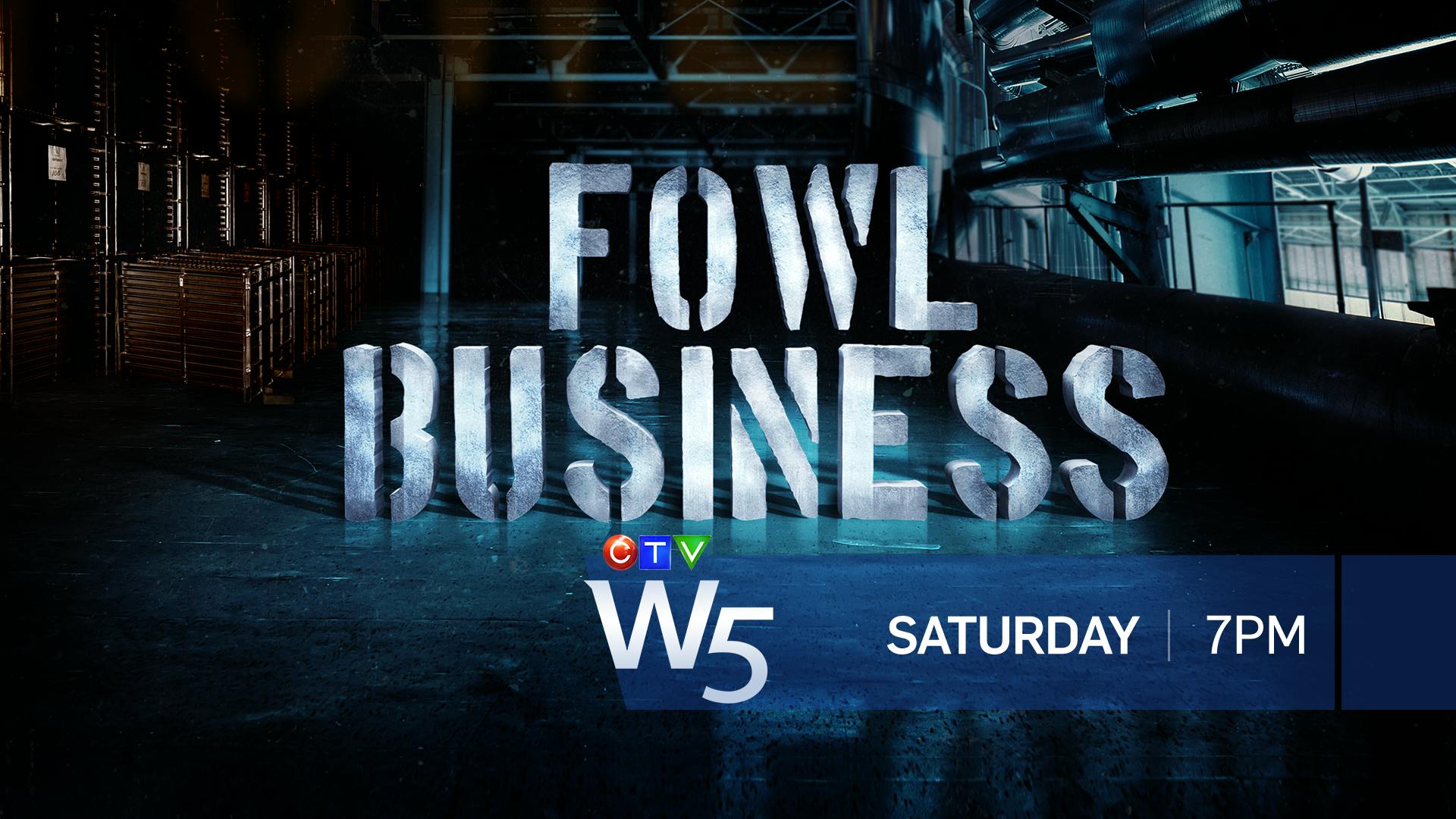 Image for the This Week on W5 – FOWL BUSINESS press release