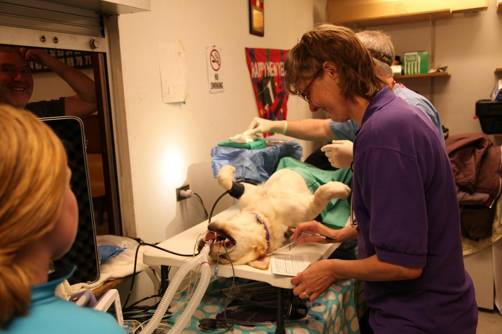 Dr. Dee Alaska Vet Animal The Lede