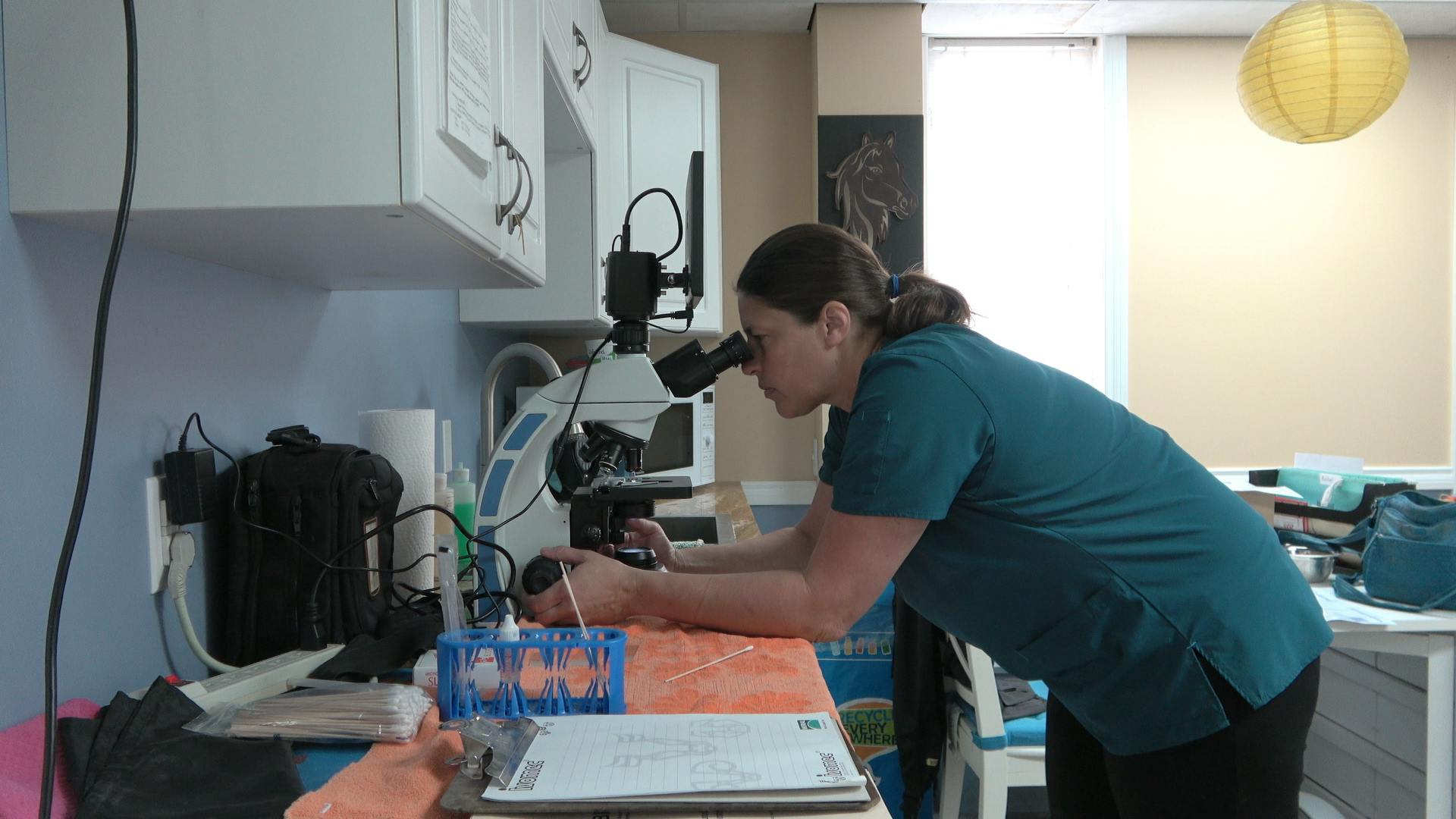 Dr. Keri Prairie Vet Bell Media