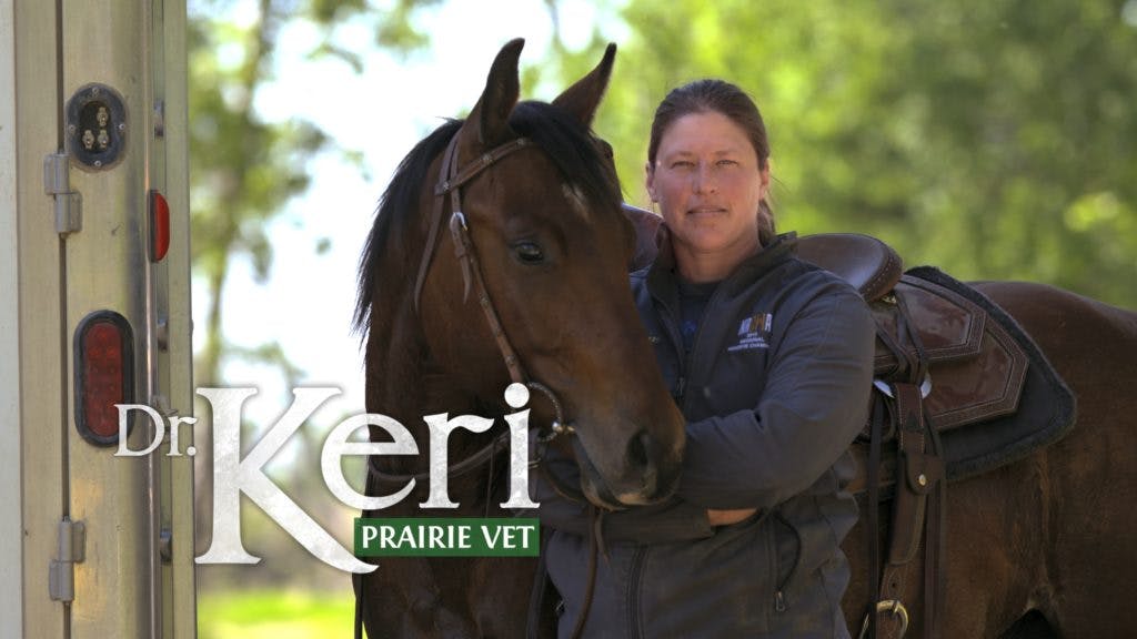 Dr. Keri Prairie Vet Bell Media