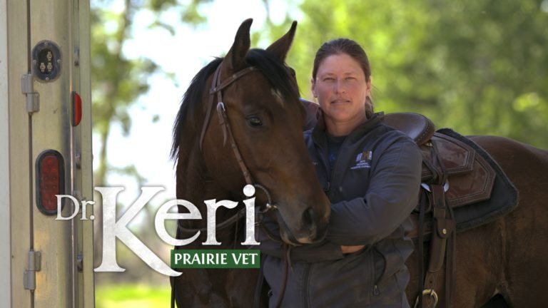 Dr. Jeff: Rocky Mountain Vet - Bell Media Dr. Jeff: Rocky Mountain Vet - Bell Media