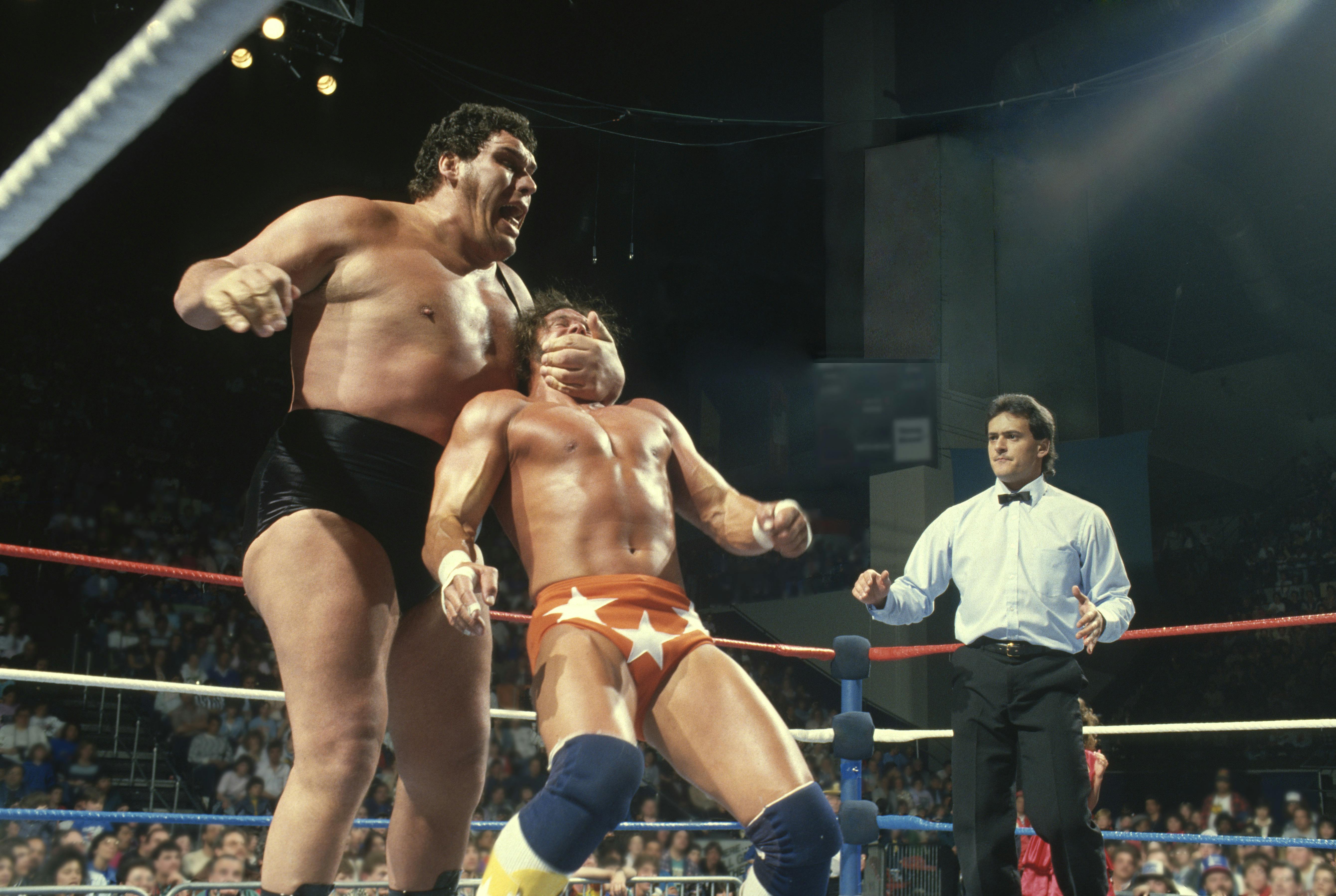 Image for the Interesting Facts about Wrestling Legend, Andre the Giant press release
