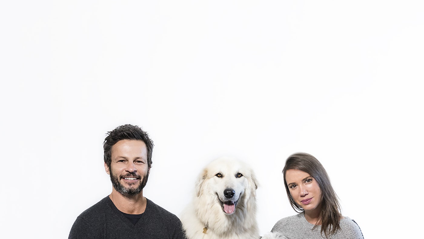 Image for the Dogs Find Their Forever Homes in the Series Premiere of Bell Media Studios’ DOG TALES RESCUE, May 31 on Gusto press release