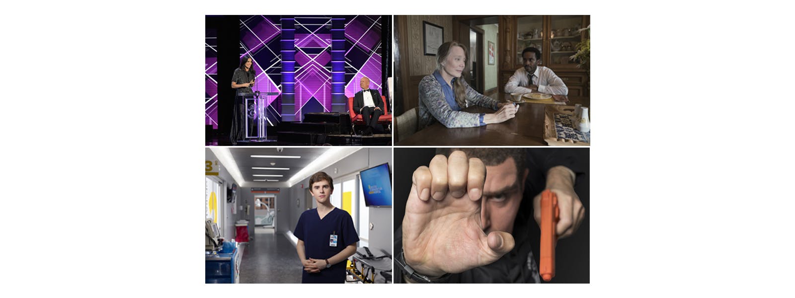 Image for the August CraveTV™ Highlights: THE ROAST OF BRUCE WILLIS, THE GOOD DOCTOR Season 1, New Episodes of SHOWTIME’s WHO IS AMERICA?, CASTLE ROCK, and More press release