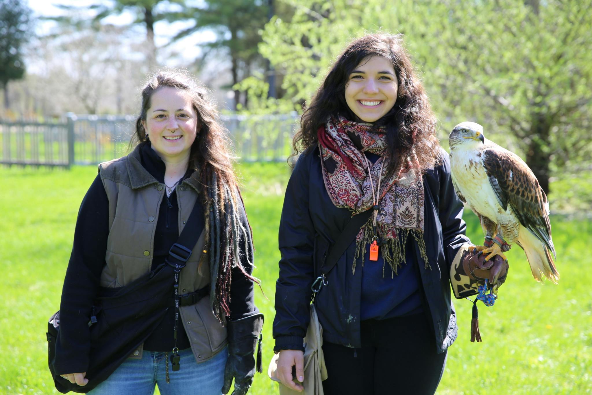 Image en vedette de l'article Vivez UN SAFARI PRÈS DE CHEZ NOUS à Canal Vie!