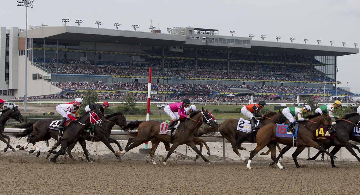 Image for the TSN and Woodbine Entertainment Partner to Deliver Live Coverage of the 2019 OLG Canadian Triple Crown press release