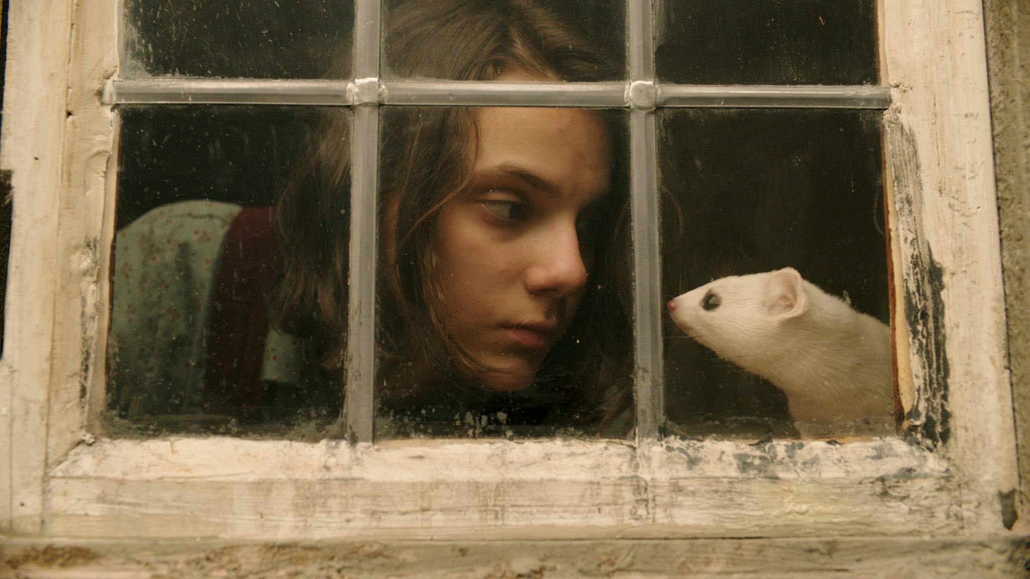 Image for the This Just In From HBO: HIS DARK MATERIALS Debuts November 4 press release
