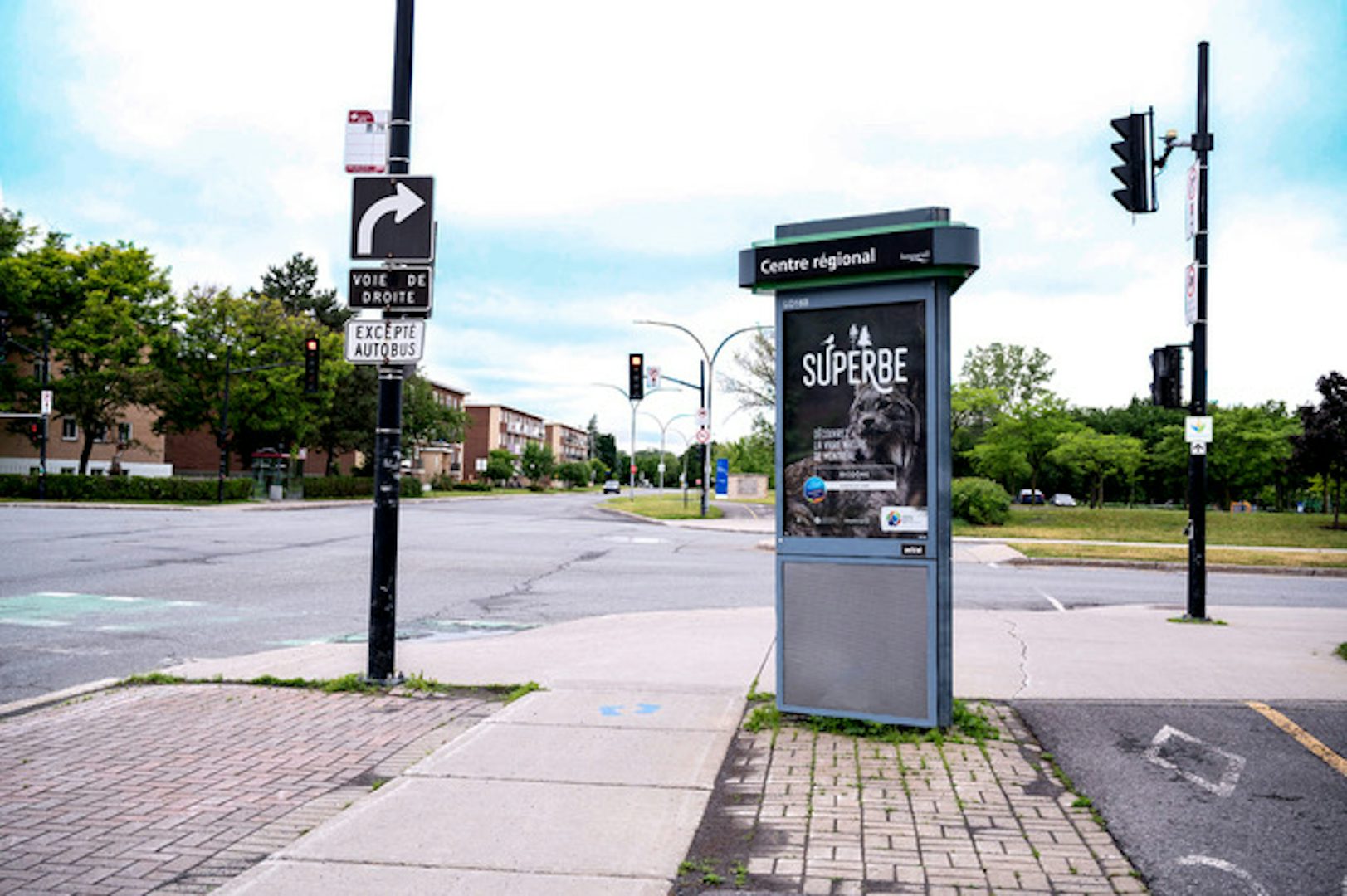 Gallery featured image