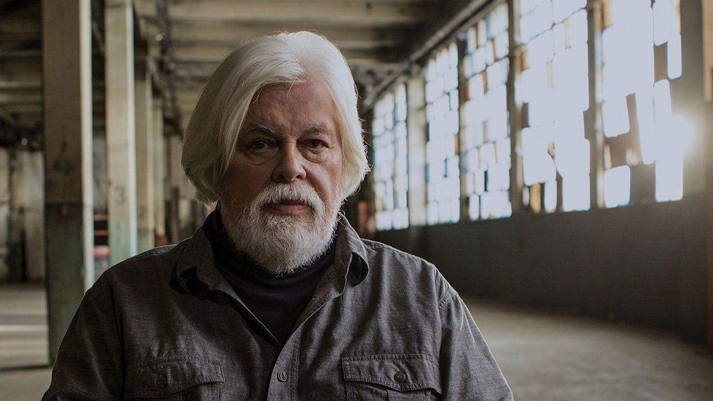 Image for the Animal Planet Makes Waves on Earth Day with Sea-Saving Documentary WATSON, April 22 press release