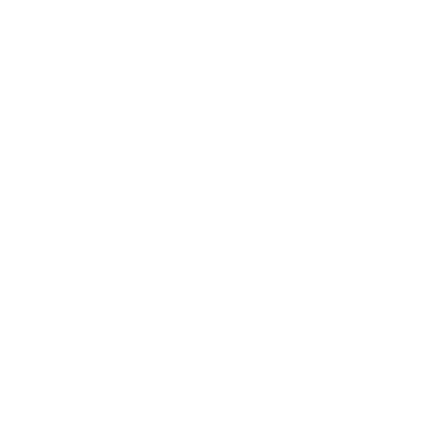 ELLE Fictions - White logo