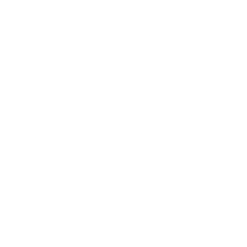 MAX - White logo
