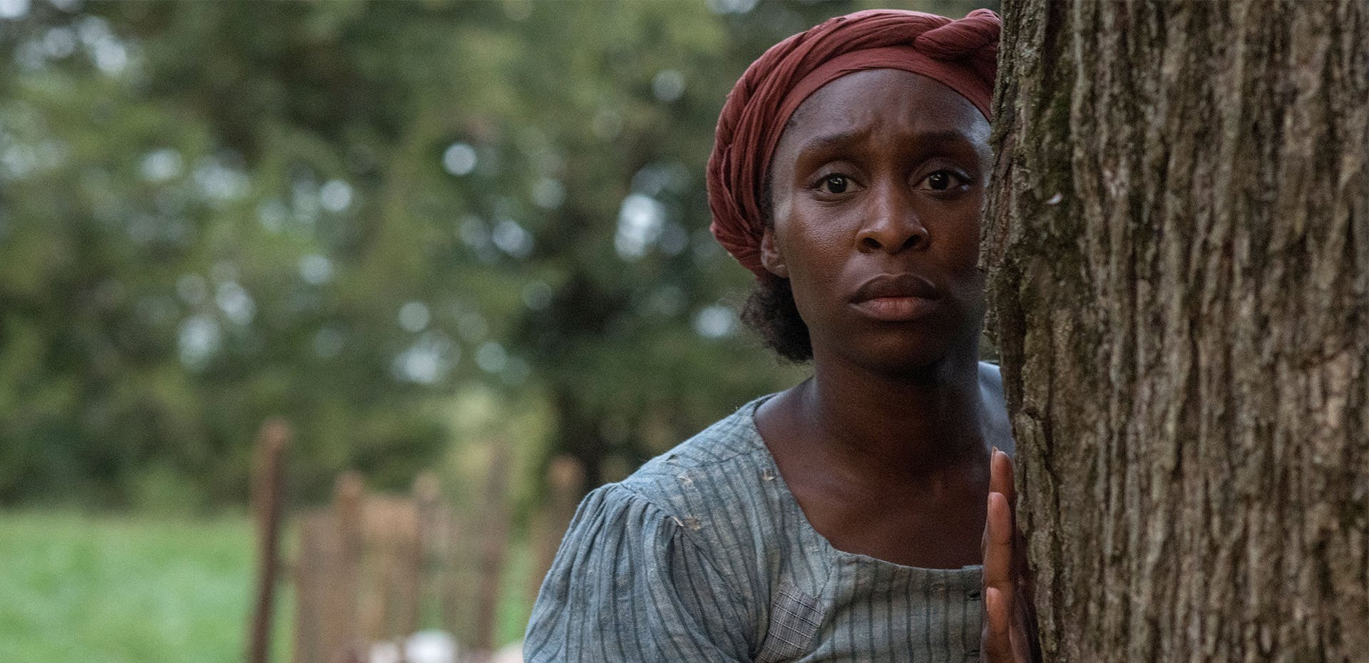 Image for the July 9 – July 15: Crave Weekly Programming Overview press release