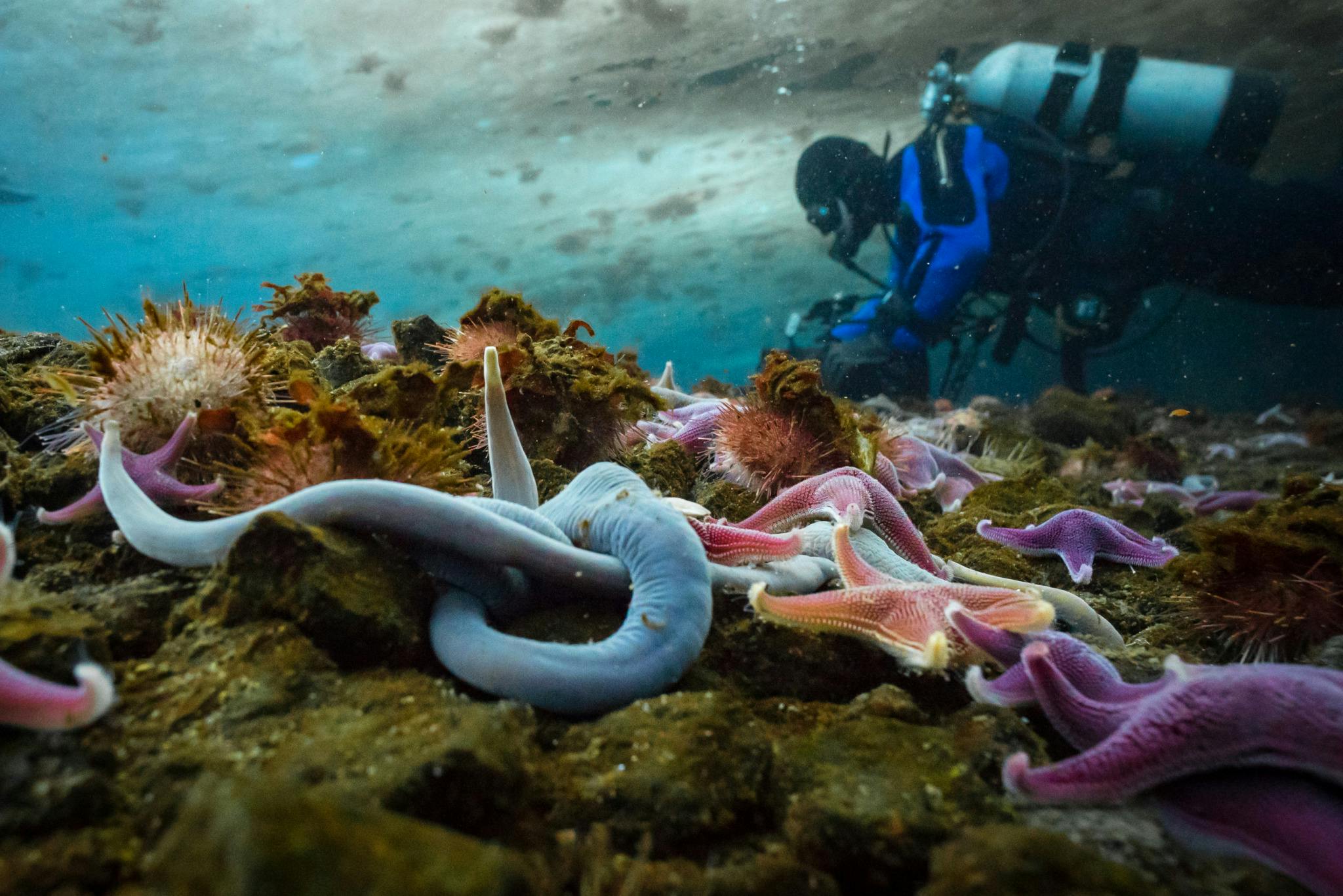 Image en vedette de l'article Canal D vibre toujours pour le documentaire!