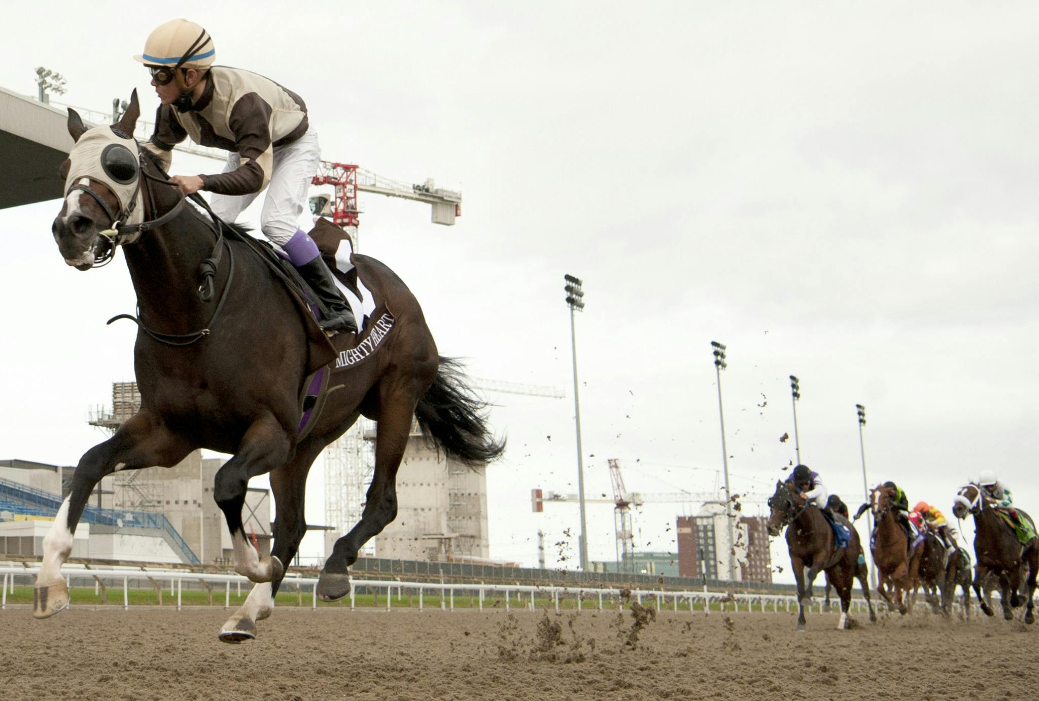 Image for the Woodbine Entertainment and TSN Deliver More Weekly Horse Racing Coverage with RACING NIGHT LIVE, Airing Friday Nights Beginning October 16 press release