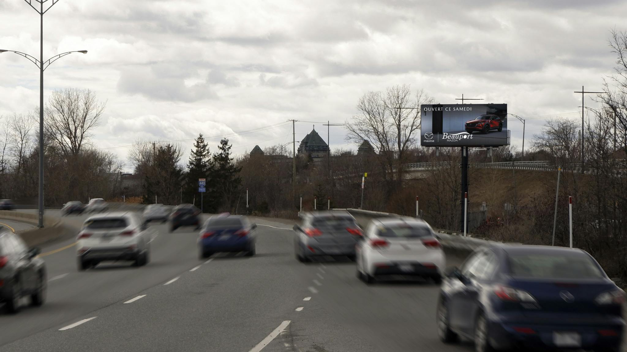 image sélectionnée dans la galerie