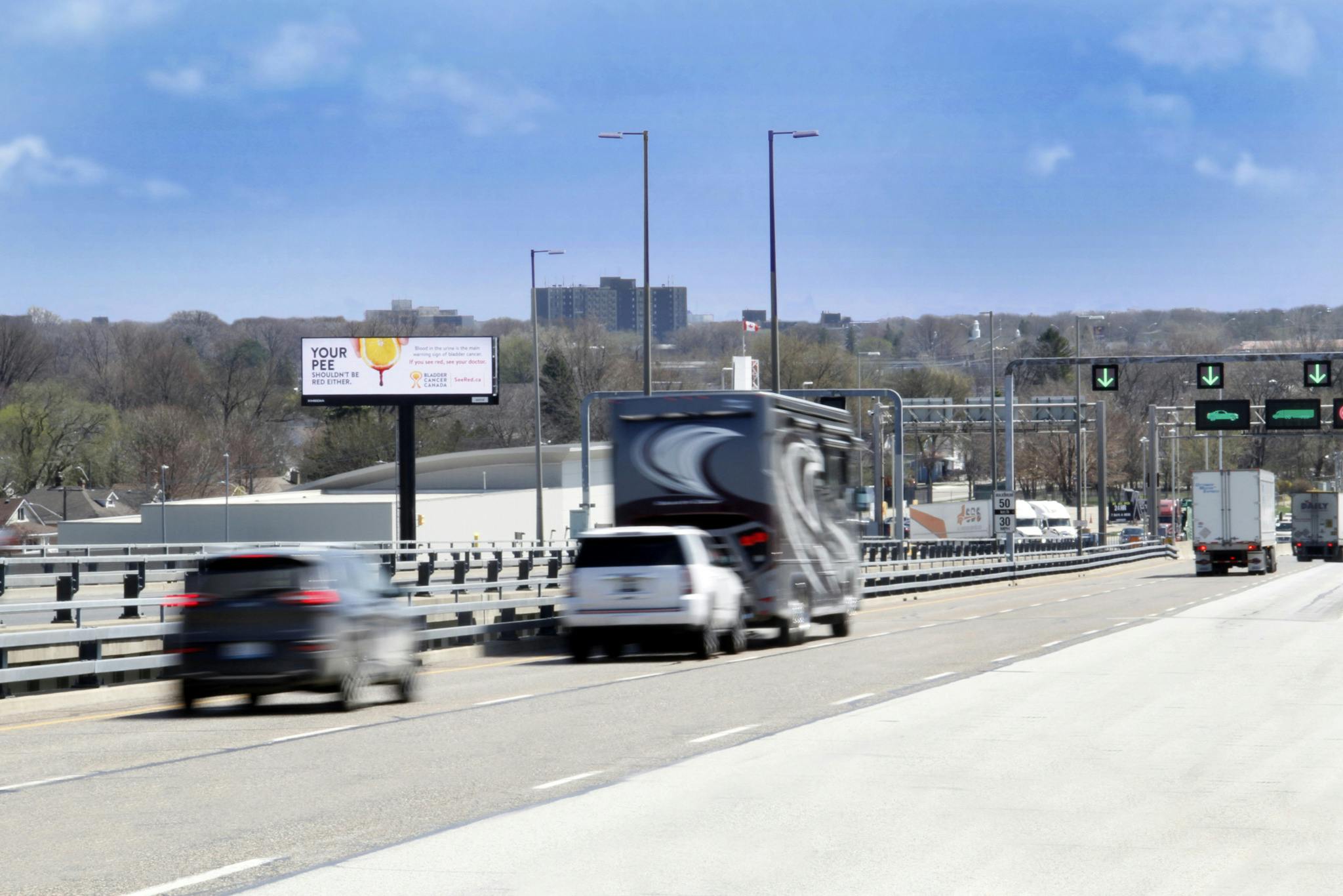 image sélectionnée dans la galerie