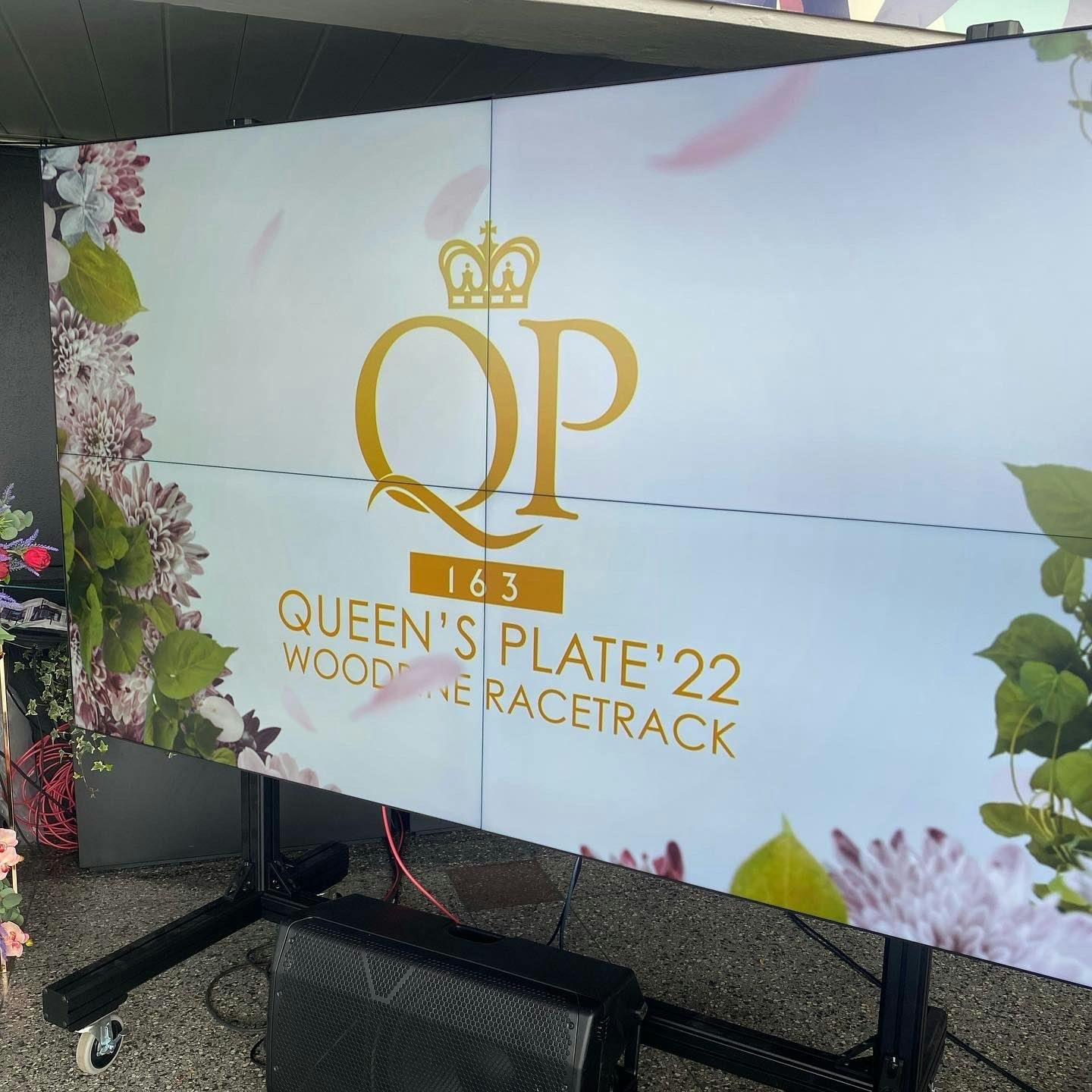Image for the From the Stables to the Finish Line: CTV and TSN Have the Reins on Complete Live Coverage of the 163rd Queen’s Plate, August 21 press release