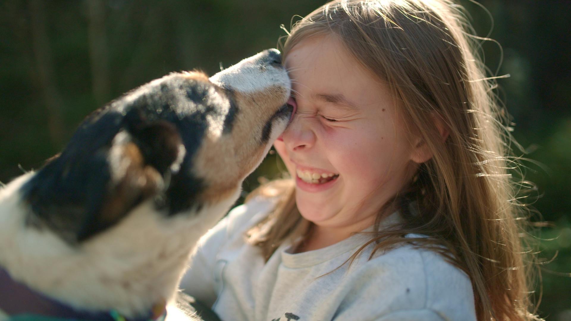 Image en vedette de l'article Canal Vie présente les six familles de la nouveauté FAMILLES D’ÉLEVEURS