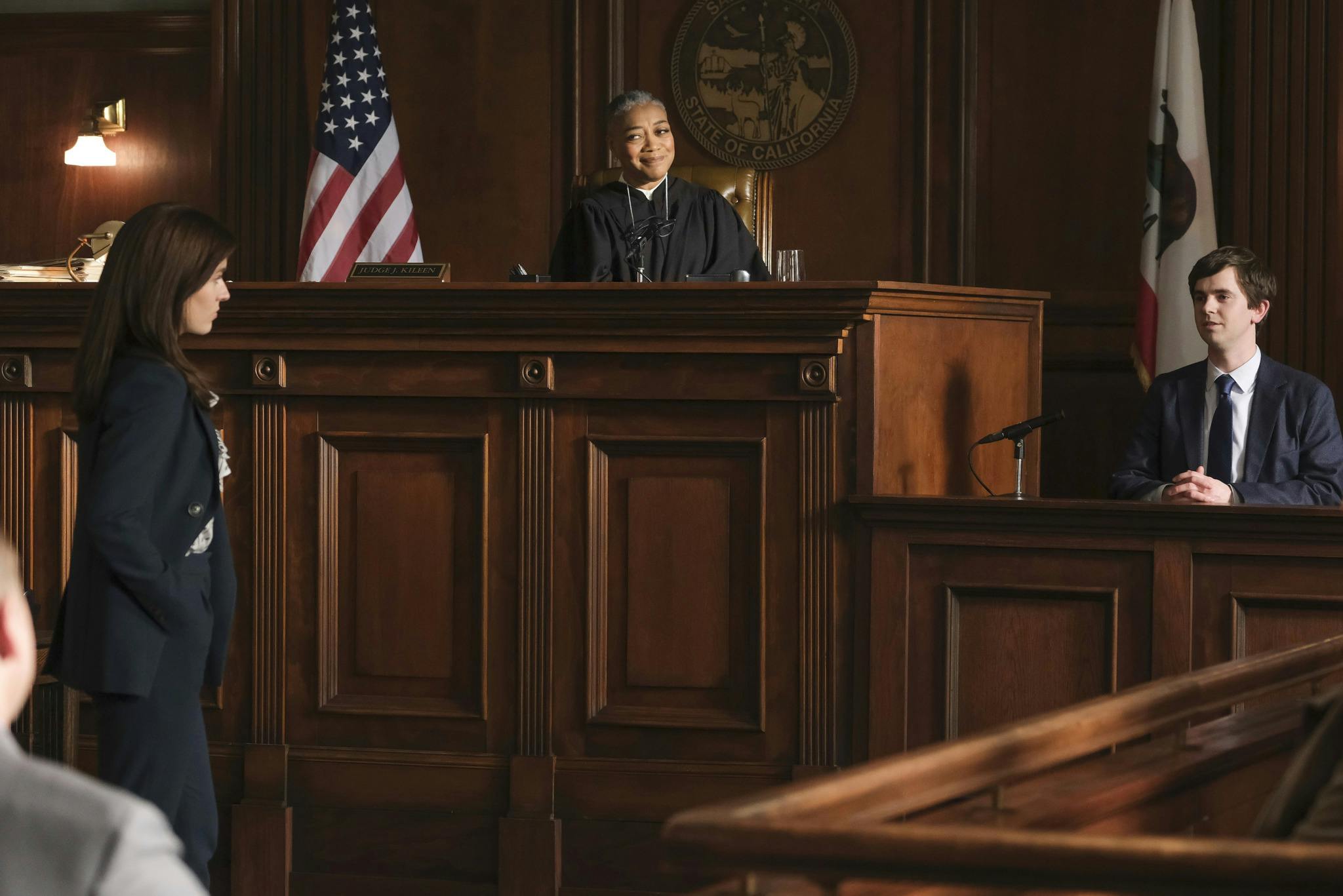 Image for the As Good As New! THE GOOD DOCTOR Gives Birth to THE GOOD LAWYER as Veteran Castmates Reflect on Success press release