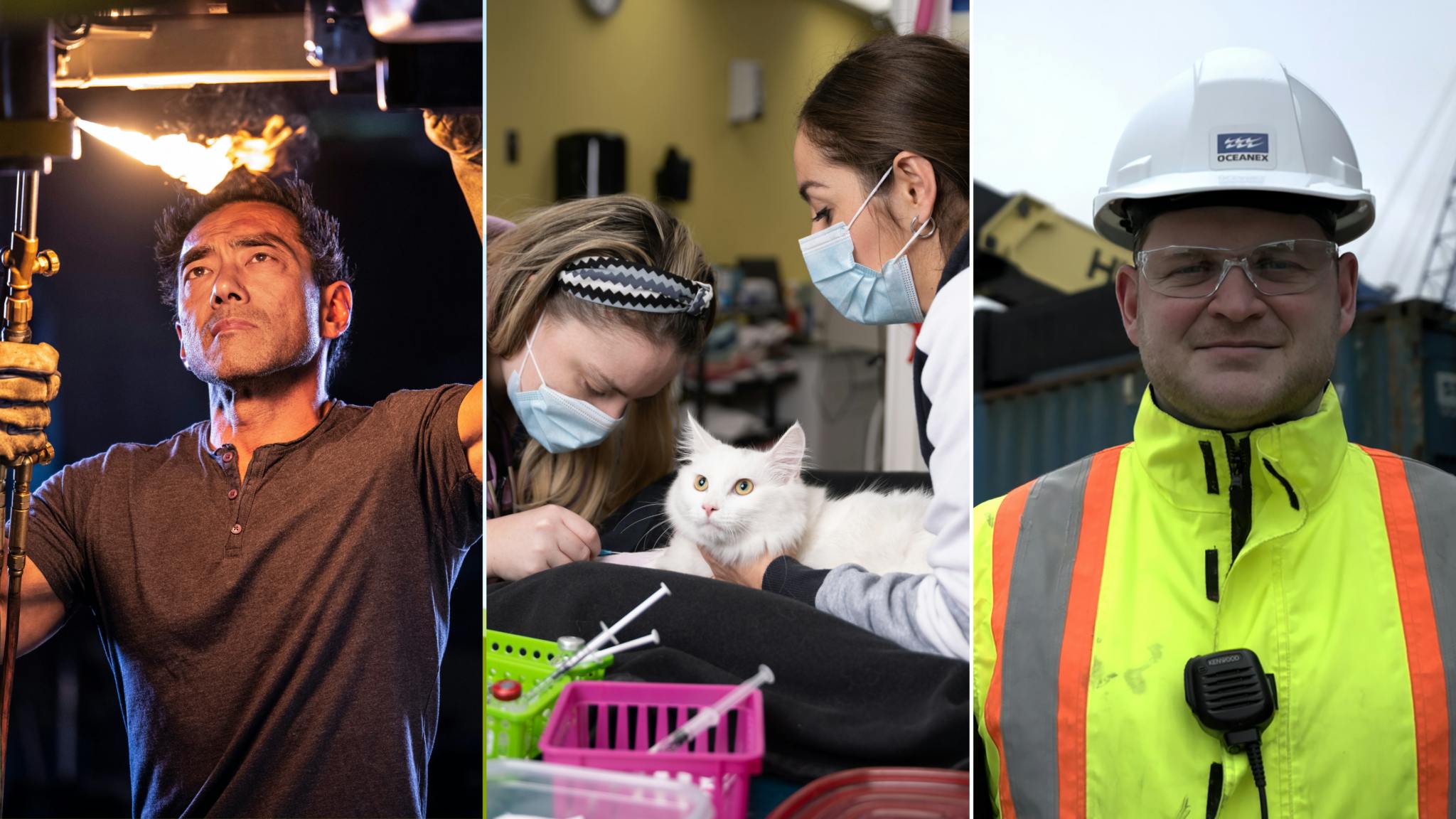 Image for the Discovery’s Complete Family of Channels Spring into a Nationwide Free Preview, May 4 – 30 press release