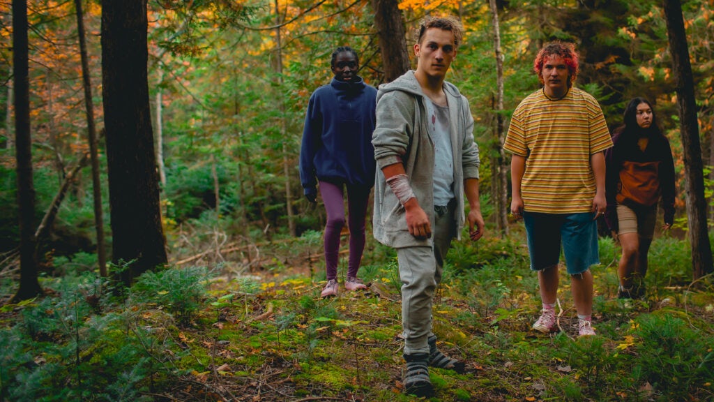 Personnes dans la foret - PAM