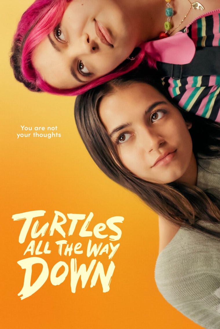 Turtles all the Way Down poster art