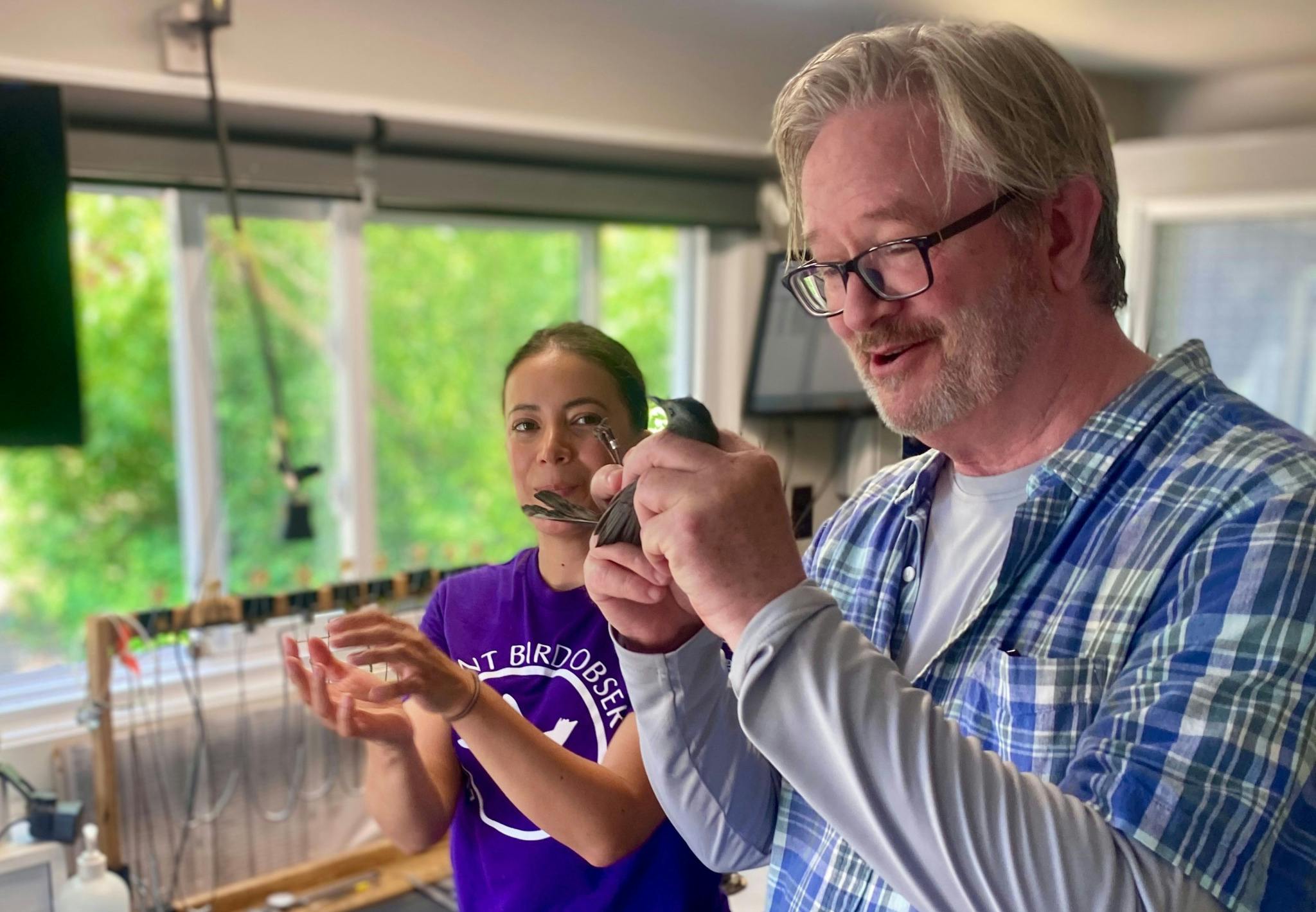 Image for the Looking For a Change of Pace, Literally? MARK MCKINNEY NEEDS A HOBBY Has Spare Time on its Side press release